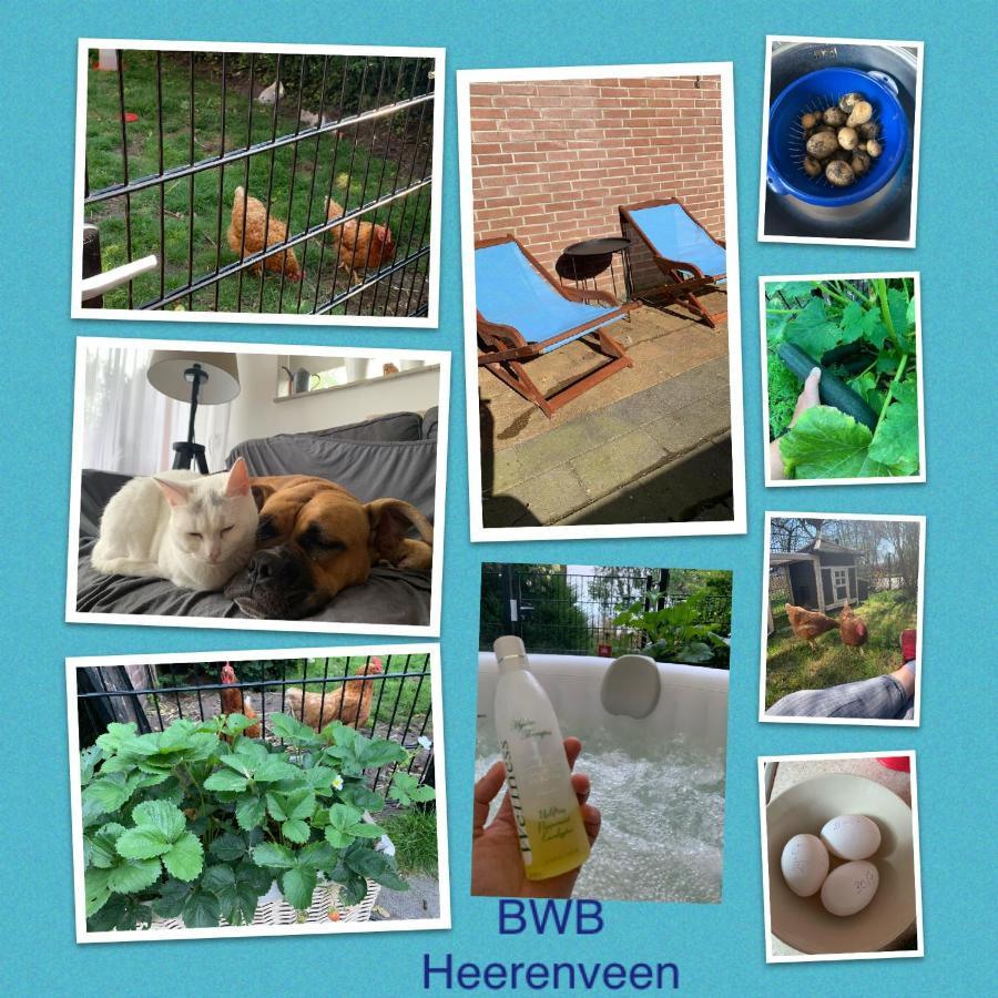 Bwb Heerenveen Homestay المظهر الخارجي الصورة